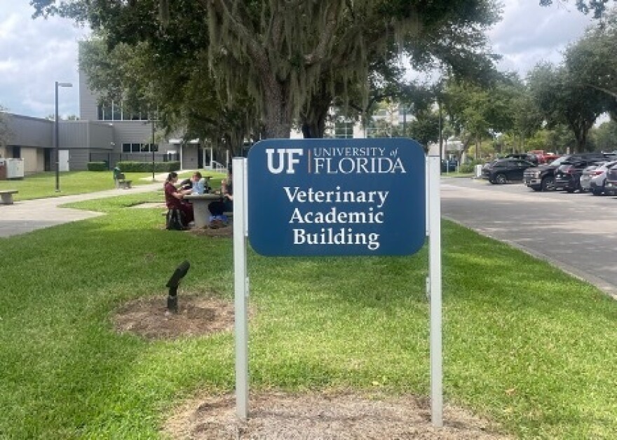 University of Florida students eat lunch near the Veterinary Academic Building on Wednesday, Oct. 2, 2024. (Carrie Peets, WUFT News.)